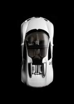 Bugatti Veyron 16.4 Grand Sport Roadster 2008 года